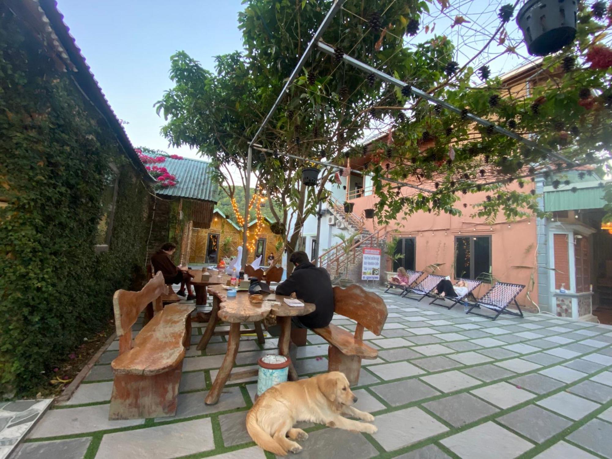 Cat Ba Rustic Homestay Hien Hao 외부 사진